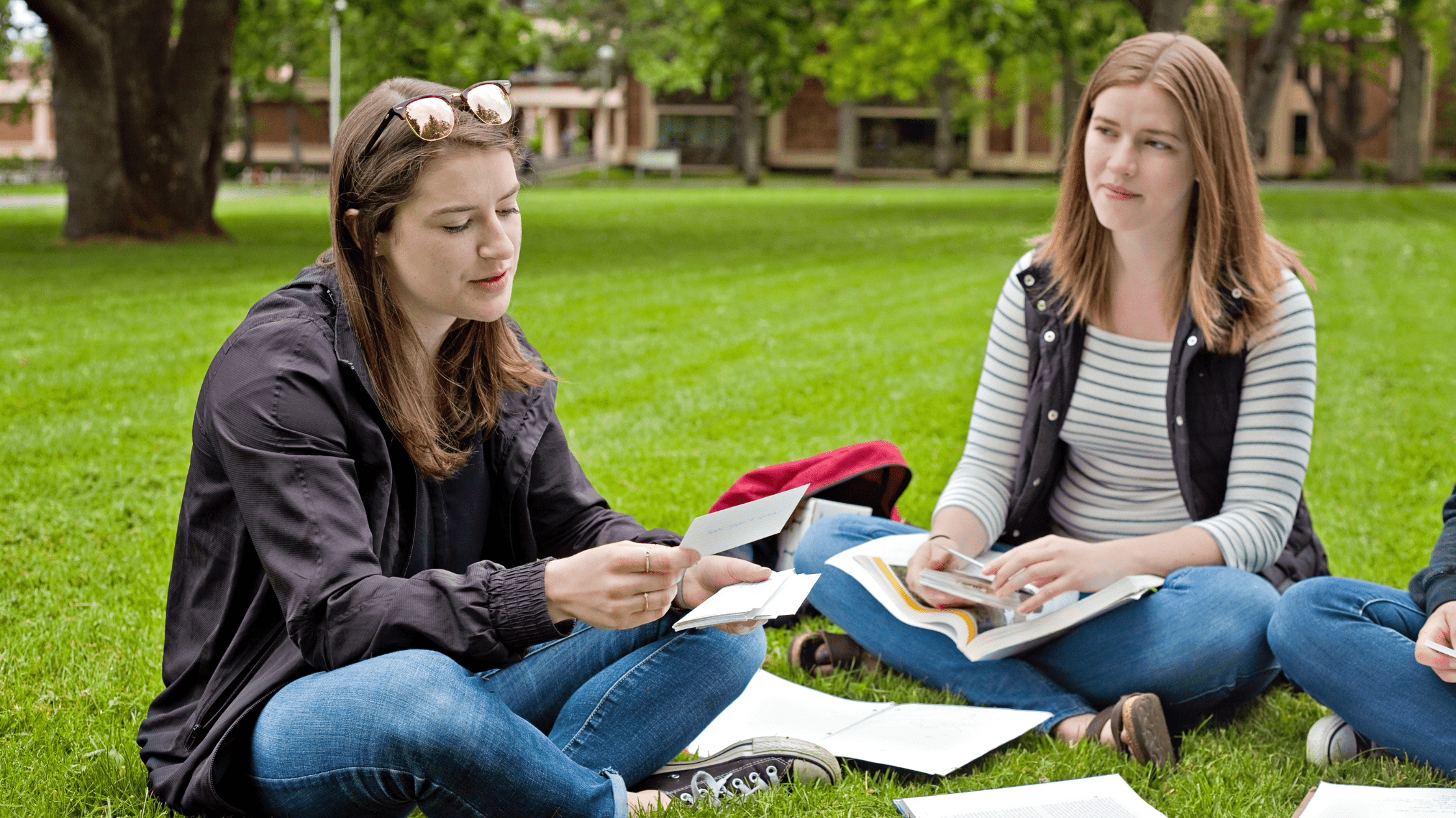 A group of medical school students studying on a lawn using Brosencephalon USMLE Flashcards.
