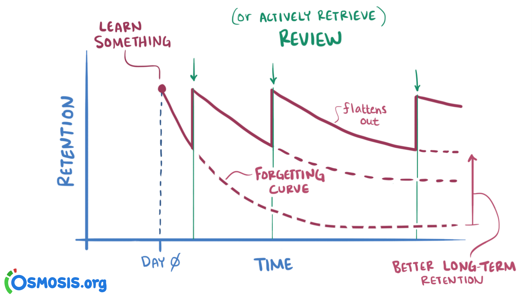 Spaced repetition for slow learners