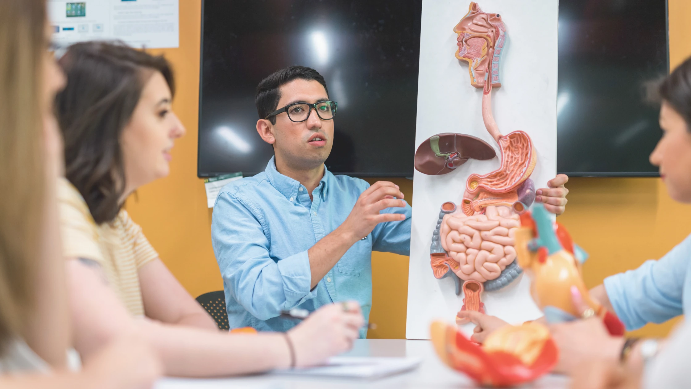 A medical school anatomy TA holding up a diagram of human internal organs.